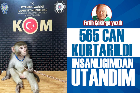 Fatih Çekirge yazdı: İnsanlığımdan utandım