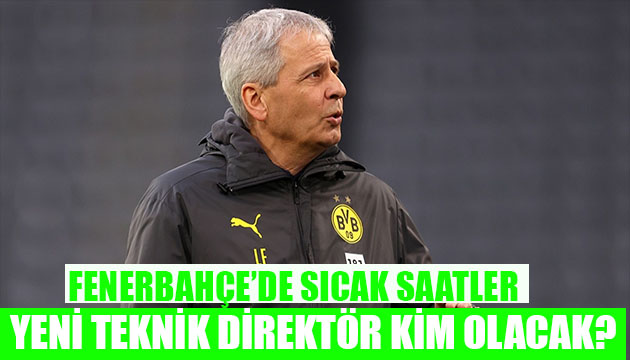 Fenerbahçe nin teknik direktörü kim olacak?