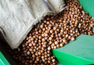 Oltan Gıda, İtalyan çikolatacı Ferrero ya satıldı!
