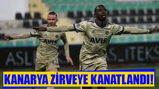 Kanarya zirveye ortak oldu