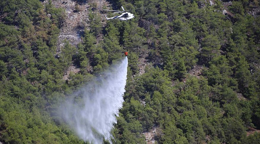 Fethiye de orman yangını