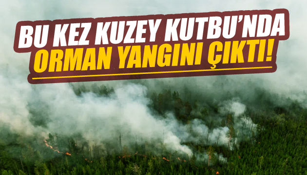 Kuzey Kutbu nda orman yangını