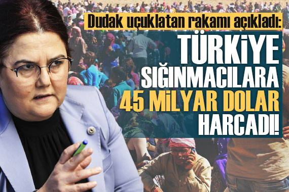 Bakan Yanık: Türkiye sığınmacılara 45 milyar dolar harcadı