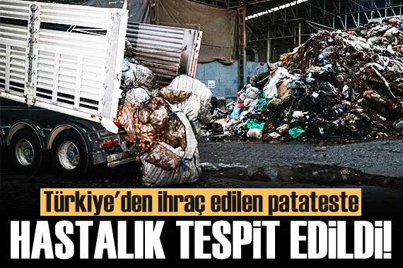 Türkiye den ihraç edilen patateste hastalık tespit edildi!