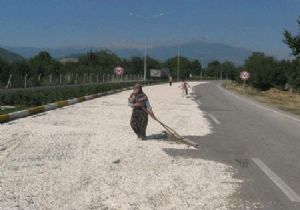 Çekirdek Kuruyor, Geçemezsiniz