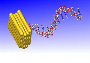 DNA Testi Artık 1 Saatte Tamam!