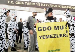 GDO da Gizli Risk Bulaşıklık!
