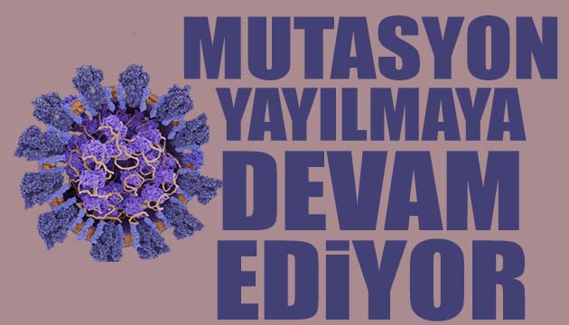 Mutasyon yayılmaya devam ediyor