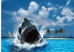 Jaws Sörfçüyü Yuttu