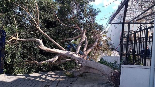 Meteoroloji uyardı: Deprem bölgesindeki illerde fırtına bekleniyor