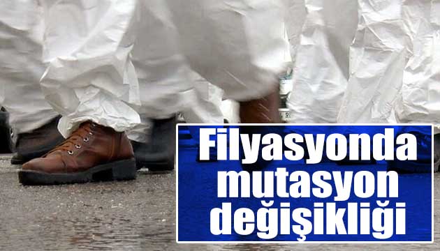 Filyasyonda mutasyon değişikliği