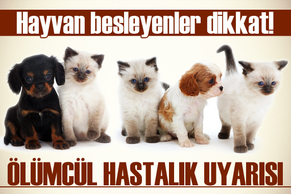 Hayvan besleyenler dikkat! Ölümcül hastalık uyarısı