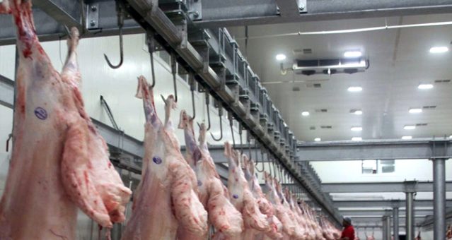 Bursa da hayvan pazarında büyük tehlike