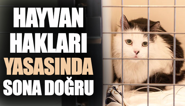 Hayvan Hakları yasasında sona doğru