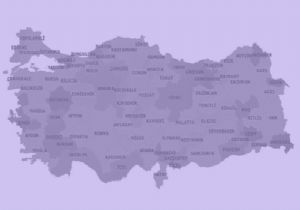 Hangi İl Ekonomide Birinci Oldu?