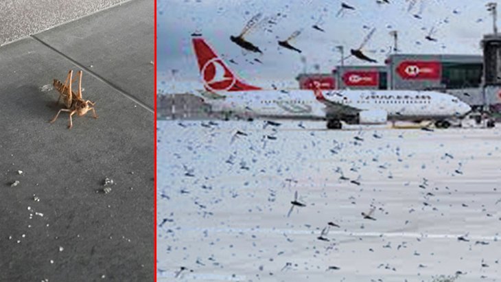 İstanbul Havalimanı nda panik
