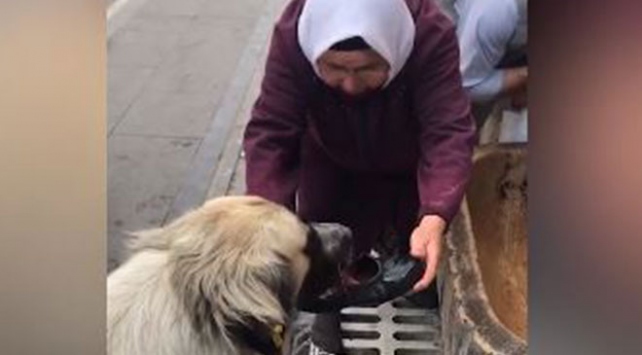 O kadın açıklamalarıyla da kendisine hayran bıraktı