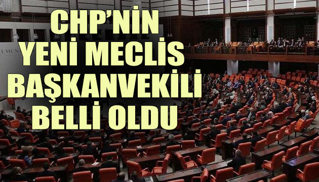 CHP nin yeni Meclis Başkanvekili belli oldu!