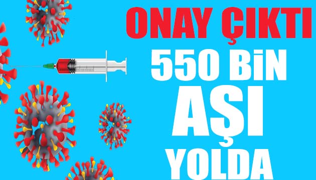 550 bin aşı yola çıktı