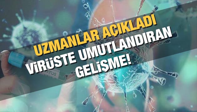 Koronavirüsün zayıf noktası bulundu!