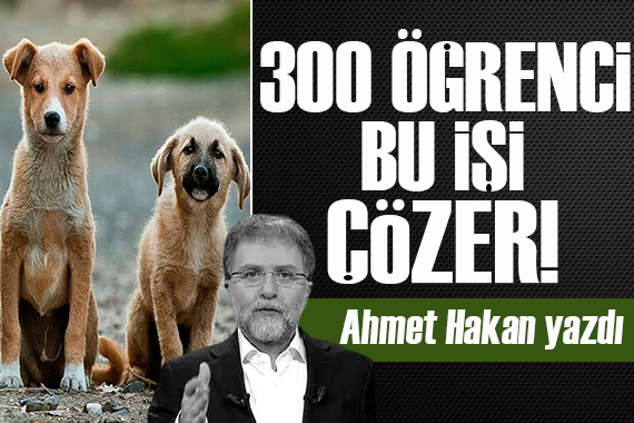 Ahmet Hakan yazdı: Sahipsiz köpek olayına karşı en somut teklif!
