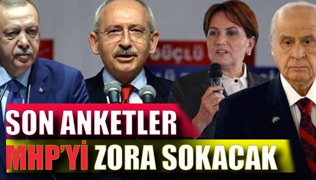 Son anketler MHP'yi zora sokacak