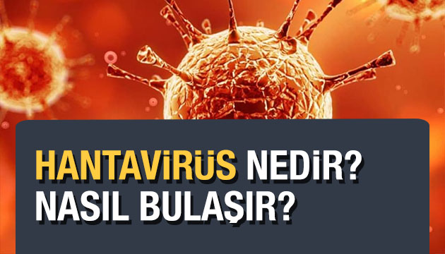 Nedir bu hantavirüs nasıl yayılıyor?