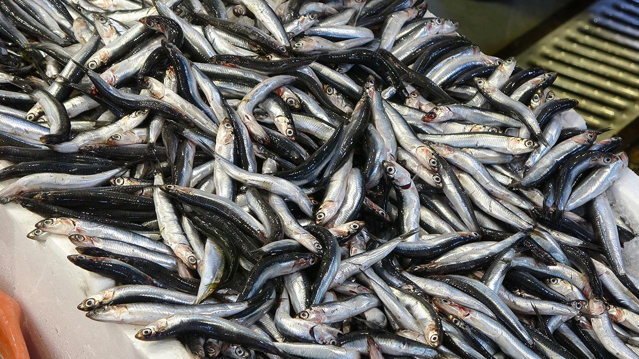 Hamsinin kilogramı 150 ile 200 lira arasında satışa sunuluyor