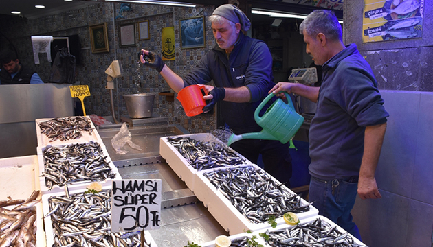 Trabzon da hamsi bolluğu