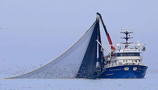 Hamside bolluk bekleniyor