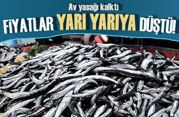 Av yasağı kalktı: Balık fiyatları yarı yarıya düştü!