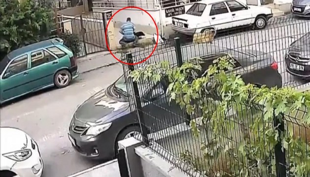 Hatay'da sokak köpeğine güpegündüz tecavüz eden şahıs gözaltına alındı