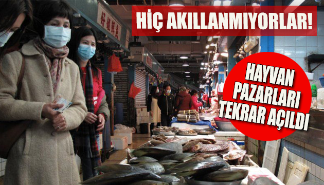 Wuhan da hayvan pazarları tekrar açıldı