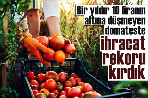 Bir yıldır 10 liranın altına düşmeyen domates, ihracat rekoru kırdı!