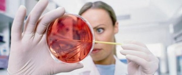 Hepatit C tedavisinde başarı oranı nedir?