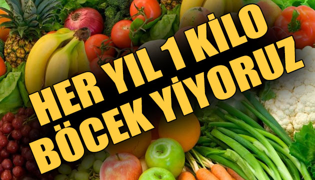 Her yıl 1 kilogram böcek yiyoruz!