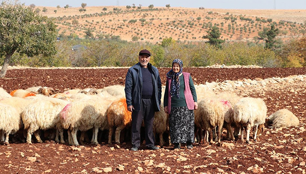 Hibe ile besici oldular