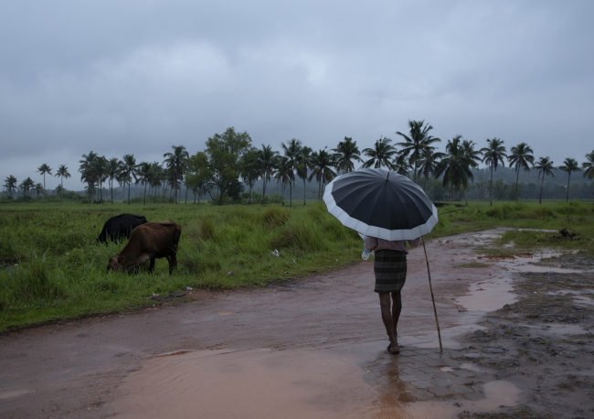 Hindistan sele teslim oldu: 8 ölü