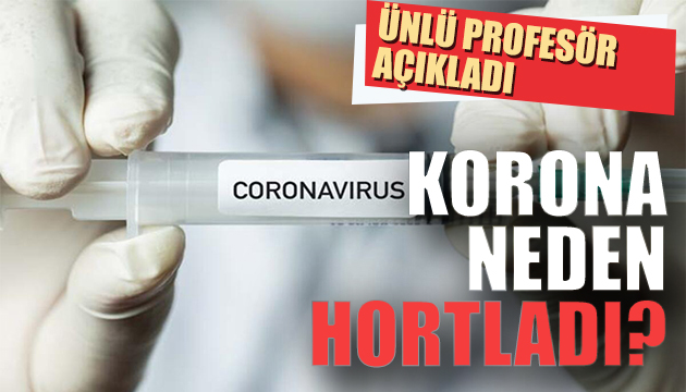 Ünlü profesör açıkladı... korona neden hortladı?