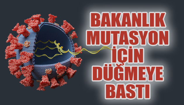 Bakanlık mutasyon için düğmeye bastı