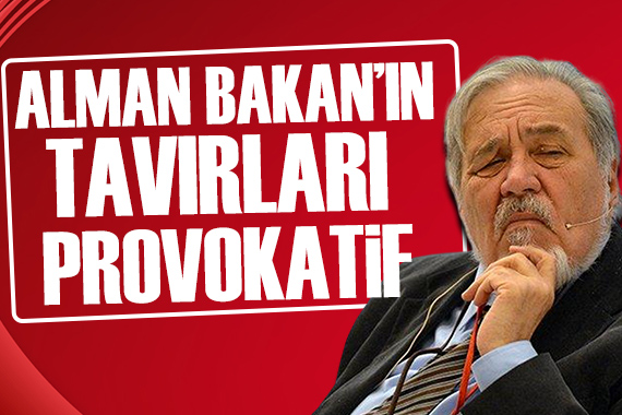 İlber Ortaylı: Alman Bakan ın ucuz politikası