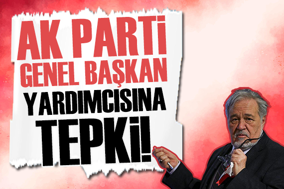 İlber Ortaylı dan AK Parti Genel Başkan Yardımcısına tepki!