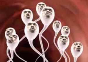 Hapishaneden Sperm Kaçırmaya Ceza!
