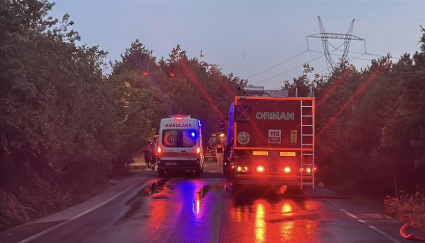 Kocaeli'de alevlerle mücadele: Validen açıklama geldi