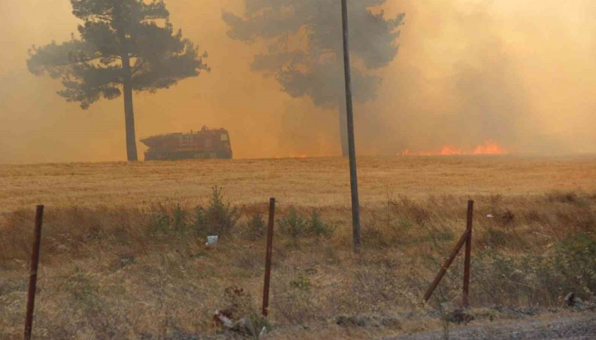 Çanakkale'de yangın başladı: Validen açıklama