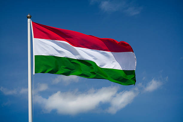 Macaristan, Finlandiya nın NATO ya katılımını onayladı