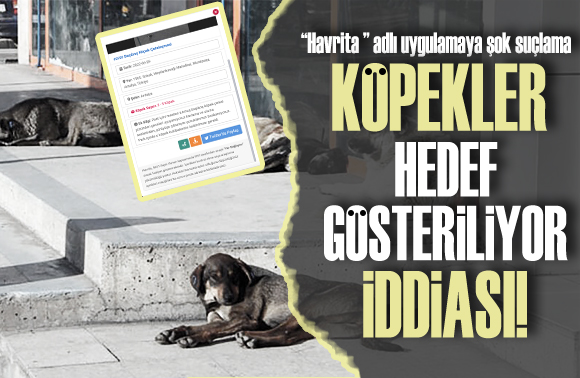 Başıboş köpek haritası uygulaması  Havrita ya şok suçlama!