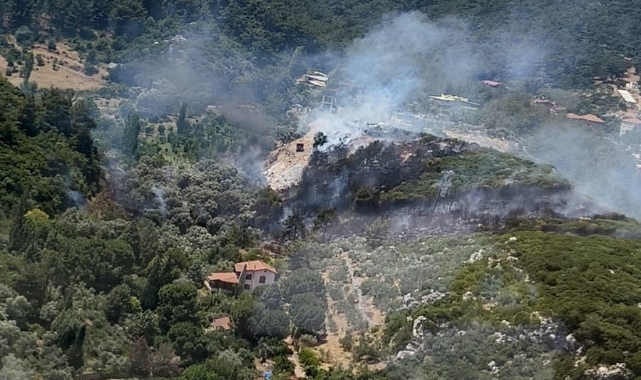 İzmir de orman yangını