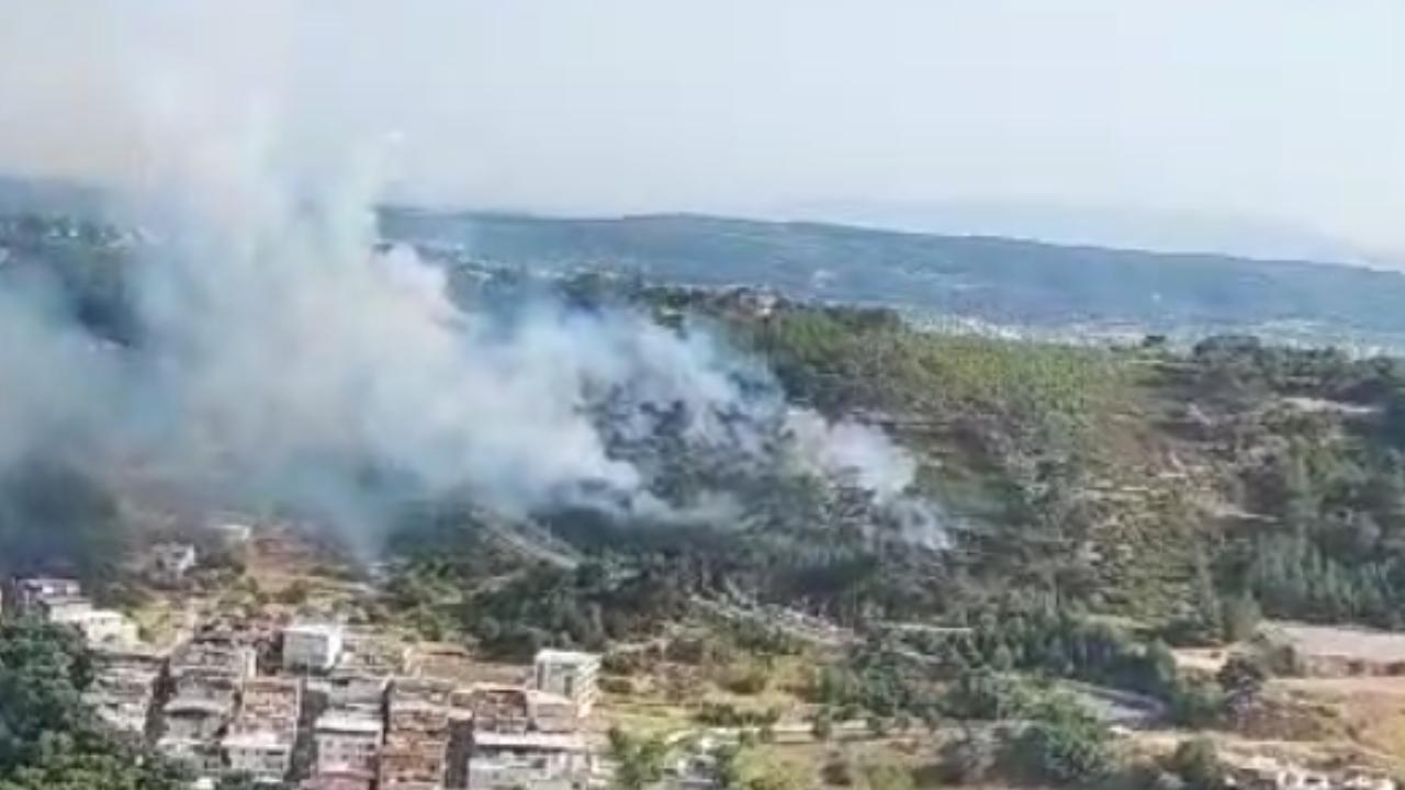 İzmir de orman yangını