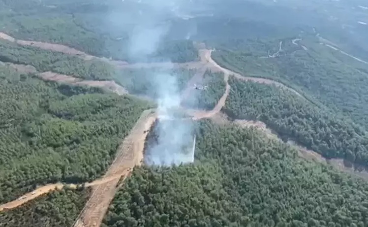 İzmir de orman yangını! Müdahale sürüyor